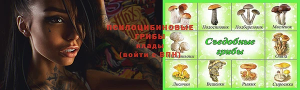 твердый Грязовец