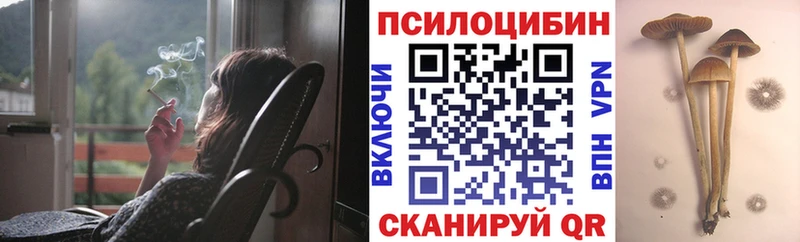 как найти   Алагир  Галлюциногенные грибы ЛСД 